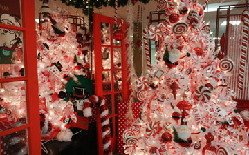 Wholesale florist in Fort Wayne, Indiana. Gassafy specialize in offering an exceptional selection of premium cut flowers, potted plants, and floral supplies. The Gassafy Wholesale fresh flower trucks are on the road serving Indiana, Michigan, and Ohio. Gassafy holiday showroom